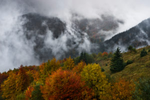Autumn forest in Malá Fatra,Malá Fatra,Carpathians,Slovakia,Europe Autumn forest in the Mala Fatra,Carpathian Mountains,Slovakia,Europe
