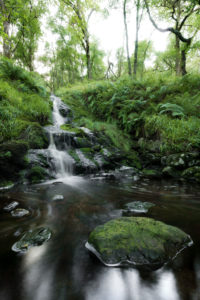 Small waterfall at forest,Argyll and Bute,Scotland,England,UK,Europe