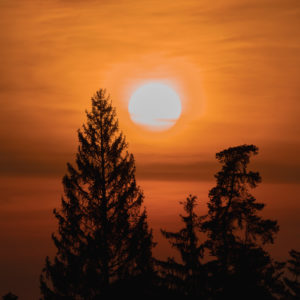 Schwäbischen Alb, Sonnenuntergang zwischen den Baumkronen, Zollernalbkreis, Baden-Württemberg, Deutschland, Europa Schwäbischen Alb, Sonnenuntergang zwischen den Baumkronen, Zollernalbkreis, Baden-Württemberg, Deutschland, Europa