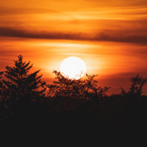Swabian Alb, sunset between the tree tops, Zollernalbkreis, Baden-Württemberg, Germany, Europe Swabian Alb, sunset between the tree tops, Zollernalbkreis, Baden-Württemberg, Germany, Europe