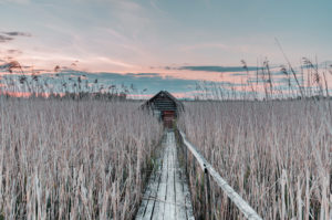 Bootshaus, nach Sonnenuntergang, Federsee, Federseesteg, Bad Buchau, Baden-Württemberg, Deutschland, Europa Bootshaus, nach Sonnenuntergang, Federsee, Federseesteg, Bad Buchau, Baden-Württemberg, Deutschland, Europa
