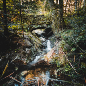 Stone bridge, Edelfrauengrab waterfall, Ottenhöfen, Black Forest, Baden-Württemberg, Germany, Europe Stone bridge, Edelfrauengrab waterfall, Ottenhöfen, Black Forest, Baden-Württemberg, Germany, Europe