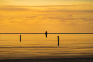 Sandbank, Westerherversand, Person, Silhouette, Sonnenuntergang, Sandsturm, Wattenmeer, Eiderstedt in Schleswig-Holstein, Nordsee, Deutschland, Europa Sandbank, Westerherversand, Person, Silhouette, Sonnenuntergang, Sandsturm, Wattenmeer, Eiderstedt in Schleswig-Holstein, Nordsee, Deutschland, Europa