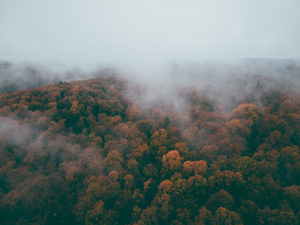 Herbst auf der Schwäbischen Alb, Wald, Nebel, Luftaufnahme, Baden-Württemberg, Deutschland, Europa Herbst auf der Schwäbischen Alb, Wald, Nebel, Luftaufnahme, Baden-Württemberg, Deutschland, Europa