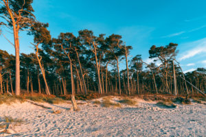 Weststrand, Ostsee, Fischland, Darß, Zingst, Sonnenuntergang, Ostseeküste, Halbinsel, Abtragungsküste, Deutschland, Europa Weststrand, Ostsee, Fischland, Darß, Zingst, Sonnenuntergang, Ostseeküste, Halbinsel, Abtragungsküste, Deutschland, Europa