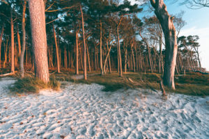 Weststrand, Ostsee, Fischland, Darß, Zingst, Sonnenuntergang, Ostseeküste, Halbinsel, Abtragungsküste, Deutschland, Europa Weststrand, Ostsee, Fischland, Darß, Zingst, Sonnenuntergang, Ostseeküste, Halbinsel, Abtragungsküste, Deutschland, Europa