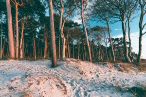 Weststrand, Ostsee, Fischland, Darß, Zingst, Sonnenuntergang, Ostseeküste, Halbinsel, Abtragungsküste, Deutschland, Europa Weststrand, Ostsee, Fischland, Darß, Zingst, Sonnenuntergang, Ostseeküste, Halbinsel, Abtragungsküste, Deutschland, Europa