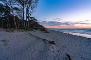 Weststrand, Ostsee, Fischland, Darß, Zingst, Sonnenuntergang, Ostseeküste, Halbinsel, Abtragungsküste, Deutschland, Europa Weststrand, Ostsee, Fischland, Darß, Zingst, Sonnenuntergang, Ostseeküste, Halbinsel, Abtragungsküste, Deutschland, Europa