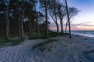 Weststrand, Ostsee, Fischland, Darß, Zingst, Sonnenuntergang, Ostseeküste, Halbinsel, Abtragungsküste, Deutschland, Europa Weststrand, Ostsee, Fischland, Darß, Zingst, Sonnenuntergang, Ostseeküste, Halbinsel, Abtragungsküste, Deutschland, Europa