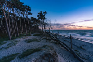 Weststrand, Ostsee, Fischland, Darß, Zingst, Sonnenuntergang, Ostseeküste, Halbinsel, Abtragungsküste, Deutschland, Europa Weststrand, Ostsee, Fischland, Darß, Zingst, Sonnenuntergang, Ostseeküste, Halbinsel, Abtragungsküste, Deutschland, Europa