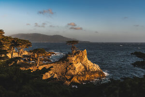 Landmark Lone Cypress, a Monterey cypress tree on a rock in Pebble Beach, 17-Mile Drive, Monterey, USA, California Landmark Lone Cypress, a Monterey cypress tree on a rock in Pebble Beach, 17-Mile Drive, Monterey, USA, California