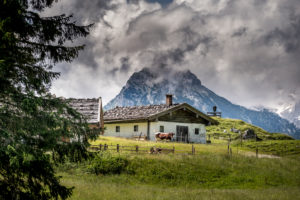 Alpine summer in Bavaria, Germany, Bavaria, Alpine summer, Alm, Ramsau, Ramsau bei Berchtesgaden, mountain climbing village, Mordaualm, cow, cow with horns, Pinzgauer, alpine romance, mountains, meadows, rural scene, Berchtesgaden, Berchtesgadener Land, landscape, mountains, outdoors , Travel, Alpine summer in Bavaria, Germany, Bavaria, Alpine summer, Alm, Ramsau, Ramsau bei Berchtesgaden, mountain climbing village, Mordaualm, cow, cow with horns, Pinzgauer, alpine romance, mountains, meadows, rural scene, Berchtesgaden, Berchtesgadener Land, landscape, mountains, outdoors , Travel,