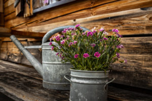 Quaint alp in the Alps, decoration, watering can, flowers, Berchtesgadener Land, Bavaria, Germany Quaint alp in the Alps, decoration, watering can, flowers, Berchtesgadener Land, Bavaria, Germany