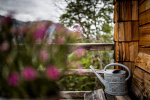 Quaint alp in the Alps, decoration, watering can, flowers, Berchtesgadener Land, Bavaria, Germany Quaint alp in the Alps, decoration, watering can, flowers, Berchtesgadener Land, Bavaria, Germany