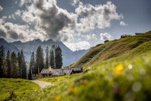 Idyllic landscape with alpine pastures, Loferer Steinberge, managed alp, meadow, summer, Bavaria Salzburger Land Idyllic landscape with alpine pastures, Loferer Steinberge, managed alp, meadow, summer, Bavaria Salzburger Land