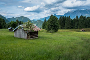 Germany, Bavaria, Allgäu, Oberstdorf, view across the meadows to the Oberstdorf mountains Germany, Bavaria, Allgäu, Oberstdorf, view across the meadows to the Oberstdorf mountains