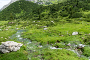 Austria, Vorarlberg, Lechquellen Mountains, Dalaas, source of Lech Austria, Vorarlberg, Lechquellen Mountains, Dalaas, source of Lech