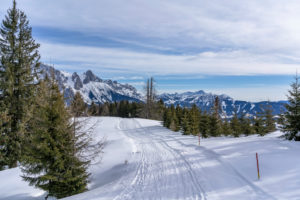Europe, Austria, Berchtesgaden Alps, Salzburg, Werfen, Ostpreussenhütte, hikers on a snowy plateau with a view of the Tennengebirge Europe, Austria, Berchtesgaden Alps, Salzburg, Werfen, Ostpreussenhütte, hikers on a snowy plateau with a view of the Tennengebirge
