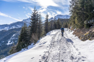 Europe, Austria, Berchtesgaden Alps, Salzburg, Werfen, Ostpreussenhütte, mountain hikers on a snowy forest path in the light mountain forest Europe, Austria, Berchtesgaden Alps, Salzburg, Werfen, Ostpreussenhütte, mountain hikers on a snowy forest path in the light mountain forest
