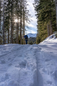 Europe, Austria, Berchtesgaden Alps, Salzburg, Werfen, Ostpreussenhütte, mountain hikers on a snowy forest path in the light mountain forest Europe, Austria, Berchtesgaden Alps, Salzburg, Werfen, Ostpreussenhütte, mountain hikers on a snowy forest path in the light mountain forest