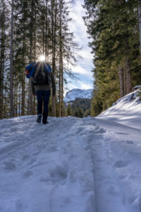 Europe, Austria, Berchtesgaden Alps, Salzburg, Werfen, Ostpreussenhütte, mountain hikers on a snowy forest path in the light mountain forest Europe, Austria, Berchtesgaden Alps, Salzburg, Werfen, Ostpreussenhütte, mountain hikers on a snowy forest path in the light mountain forest