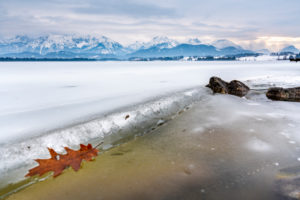 Winter at the Hopfensee, Allgäu Alps, Bavaria, Germany Winter at the Hopfensee, Allgäu Alps, Bavaria, Germany