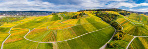 Drone shot, autumn, vineyards near Strümpfelbach, Remstal, Baden Württemberg, Germany Drone shot, autumn, vineyards near Strümpfelbach, Remstal, Baden Württemberg, Germany
