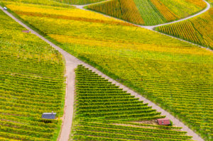 Drone shot, autumn, vineyards near Strümpfelbach, Remstal, Baden Württemberg, Germany Drone shot, autumn, vineyards near Strümpfelbach, Remstal, Baden Württemberg, Germany