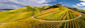 Drone shot, autumn, vineyards near Strümpfelbach, Remstal, Baden Württemberg, Germany Drone shot, autumn, vineyards near Strümpfelbach, Remstal, Baden Württemberg, Germany