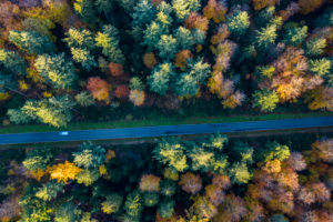 Aerial view street, Swabian Forest in autumn, Rems-Murr-Kreis, Baden Württemberg, Germany Aerial view street, Swabian Forest in autumn, Rems-Murr-Kreis, Baden Württemberg, Germany