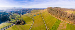 Drone shot, vineyards in autumn, Korber Kopf, Remstal, Baden-Württemberg, Germany, Europe Drone shot, vineyards in autumn, Korber Kopf, Remstal, Baden-Württemberg, Germany, Europe
