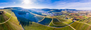Drone shot, vineyards in autumn, near Strümpfelbach, Remstal, Baden-Württemberg, Germany, Europe Drone shot, vineyards in autumn, near Strümpfelbach, Remstal, Baden-Württemberg, Germany, Europe