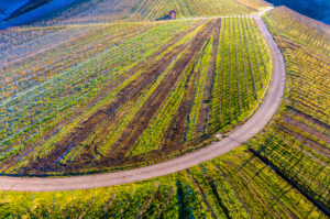 Drone shot, vineyards in autumn, near Strümpfelbach, Remstal, Baden-Württemberg, Germany, Europe Drone shot, vineyards in autumn, near Strümpfelbach, Remstal, Baden-Württemberg, Germany, Europe