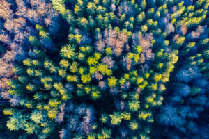 Aerial view Swabian Forest in autumn, Rems-Murr-Kreis, Baden Württemberg, Germany Aerial view Swabian Forest in autumn, Rems-Murr-Kreis, Baden Württemberg, Germany