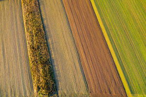 Aerial view arable land, Swabian Forest in autumn, Rems-Murr-Kreis, Baden Württemberg, Germany Aerial view arable land, Swabian Forest in autumn, Rems-Murr-Kreis, Baden Württemberg, Germany