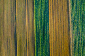 Aerial view arable land, Swabian Forest in autumn, Rems-Murr-Kreis, Baden Württemberg, Germany Aerial view arable land, Swabian Forest in autumn, Rems-Murr-Kreis, Baden Württemberg, Germany