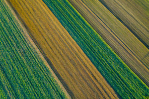 Aerial view arable land, Swabian Forest in autumn, Rems-Murr-Kreis, Baden Württemberg, Germany Aerial view arable land, Swabian Forest in autumn, Rems-Murr-Kreis, Baden Württemberg, Germany