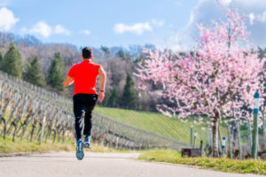 Man, 21 years old, jogging on Kappelberg, Remstal, Baden-Württemberg, Germany Man, 21 years old, jogging on Kappelberg, Remstal, Baden-Württemberg, Germany