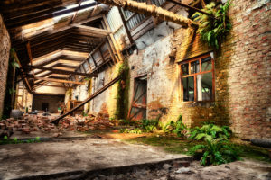 Industrial ruin with fern Industrial ruin with fern