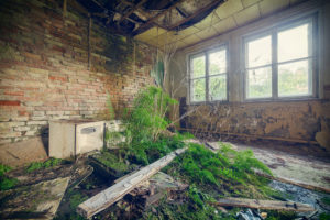 decayed hotel room in an abandoned recreation home with fern decayed hotel room in an abandoned recreation home with fern