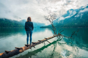 A woman is standing on a pine tree with ladder rungs at Plansee in Austria. A woman is standing on a pine tree with ladder rungs at Plansee in Austria.