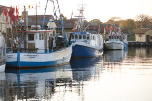 Fischerboote im Hafen von Freest, Mecklenburg-Vorpommern, Deutschland
Fischerboote im Hafen von Freest, Mecklenburg-Vorpommern, Deutschland