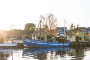Fischerboote im Hafen von Freest, Mecklenburg-Vorpommern, Deutschland
Fischerboote im Hafen von Freest, Mecklenburg-Vorpommern, Deutschland