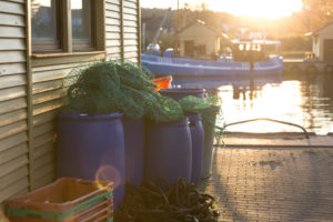 Netze und Fischkisten im Hafen von Freest, Mecklenburg-Vorpommern, Deutschland
Netze und Fischkisten im Hafen von Freest, Mecklenburg-Vorpommern, Deutschland