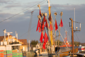 Fischerfähnchen im Hafen von Freest, Mecklenburg-Vorpommern, Deutschland
Fischerfähnchen im Hafen von Freest, Mecklenburg-Vorpommern, Deutschland