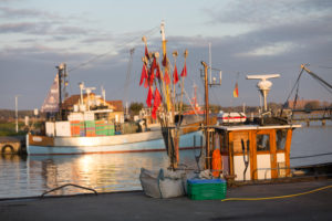 Fischerboote im Hafen von Freest, Mecklenburg-Vorpommern, Deutschland
Fischerboote im Hafen von Freest, Mecklenburg-Vorpommern, Deutschland