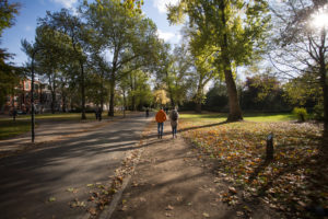 Spaziergänger in einem Park, Groningen, Niederlande Spaziergänger in einem Park, Groningen, Niederlande