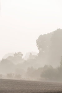 misty landscape in Mecklenburg-Western Pomerania misty landscape in Mecklenburg-Western Pomerania