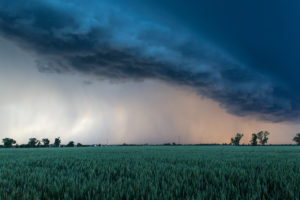 Gewitter über einem Feld Gewitter über einem Feld