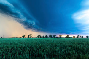 Gewitter über einem Feld Gewitter über einem Feld